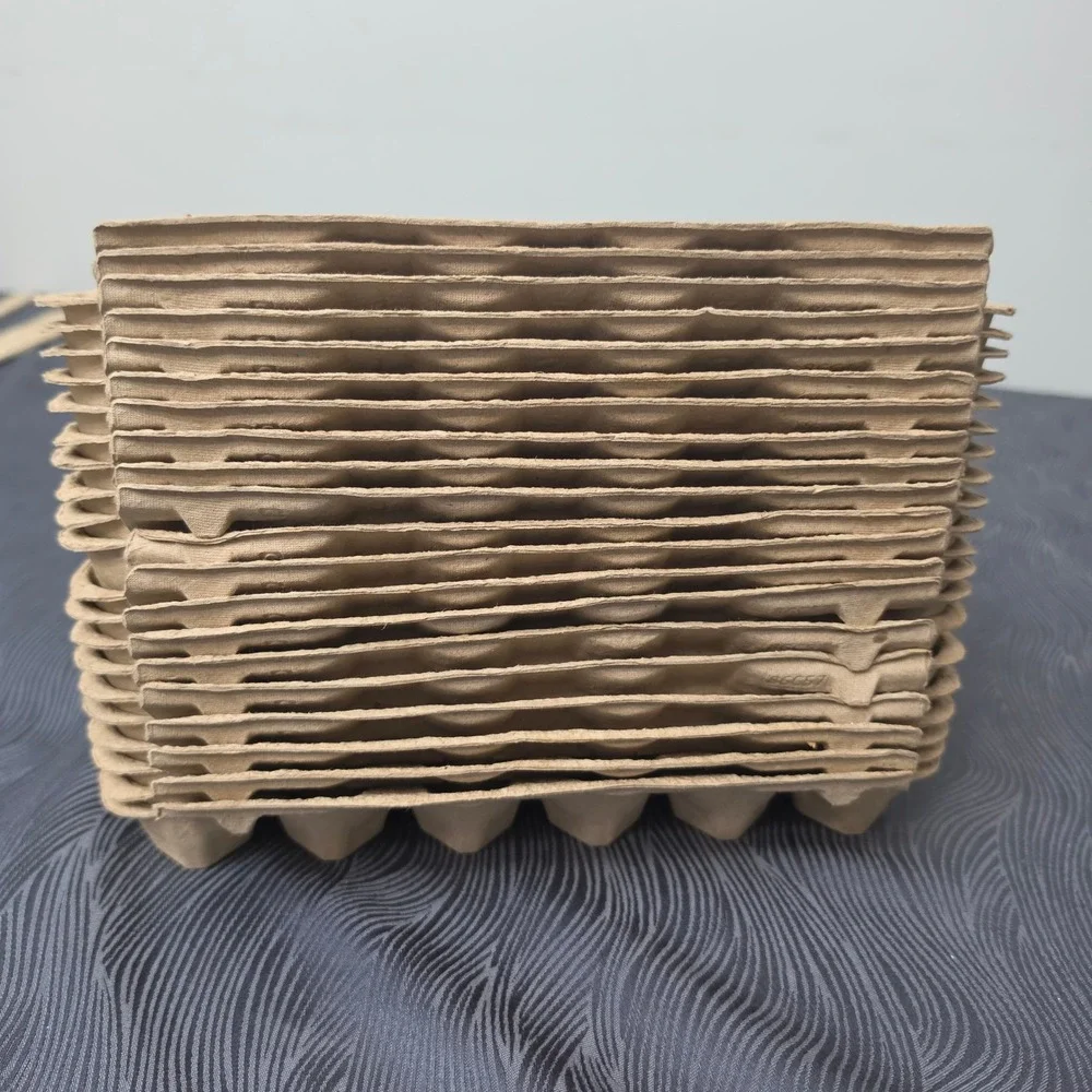 Lot of 20 Pulp Paper Egg  Recycled Pulp Paper 12-Count Large Eggs